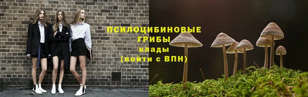 ALPHA PVP Бородино