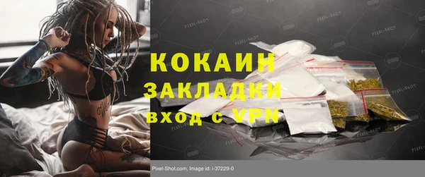 ALPHA PVP Бородино