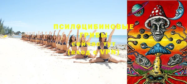 тгк Бронницы