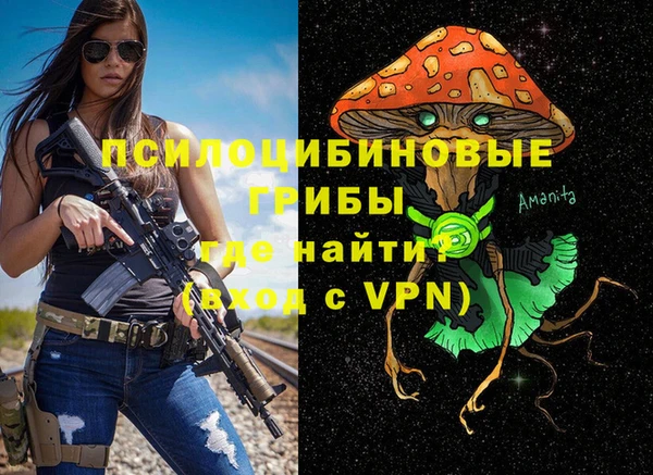 тгк Бронницы