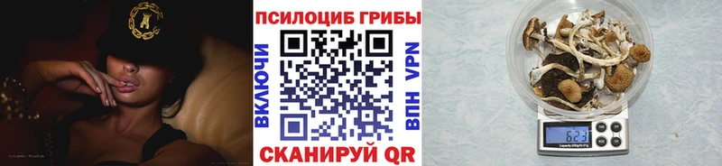 Купить закладки Бородино Галлюциногенные грибы мицелий